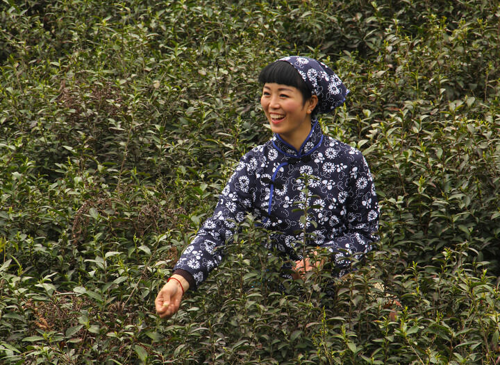 更新14
